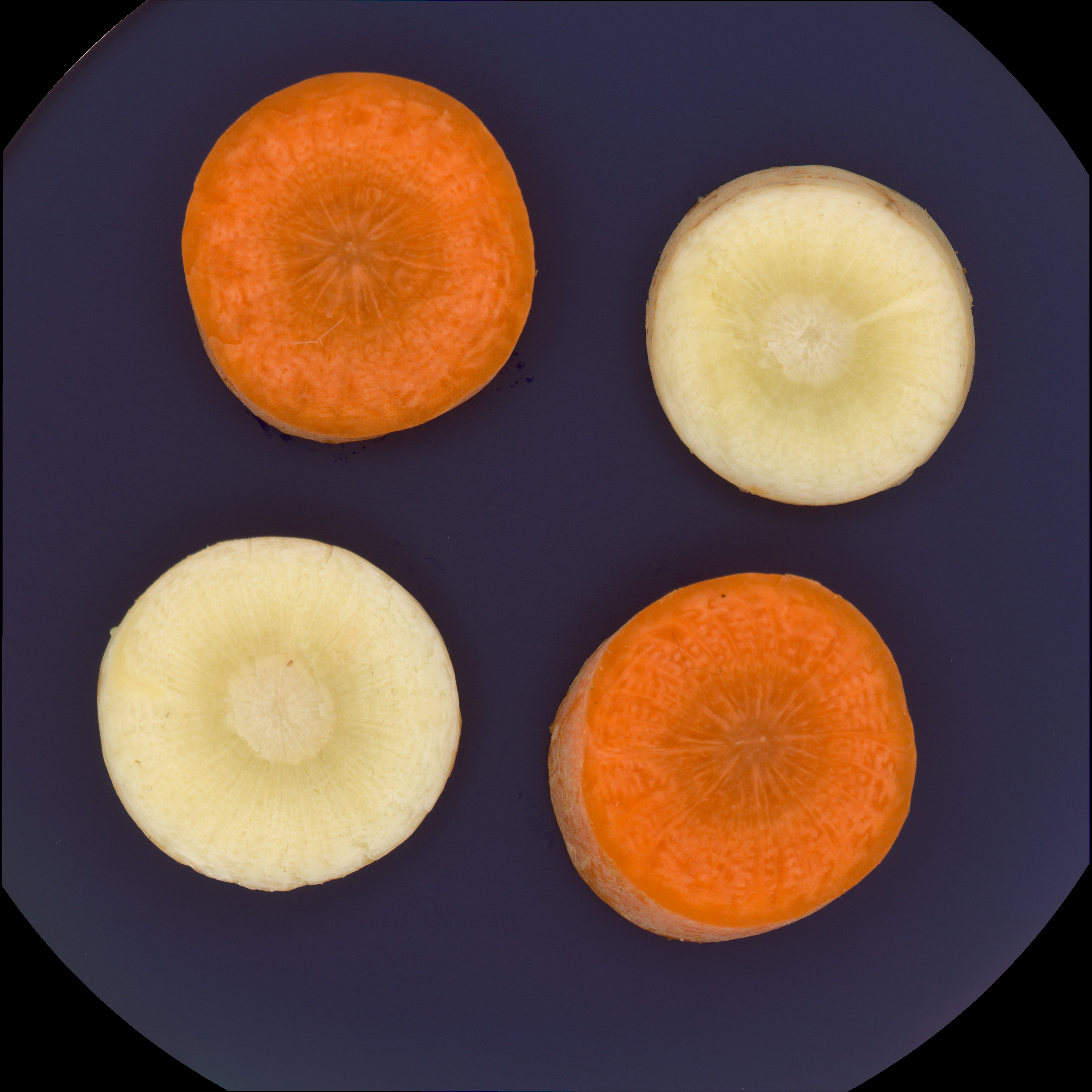 vegetable analysis of moisture, oxidation and texture