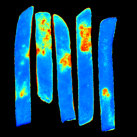 potato strip food quality inspection