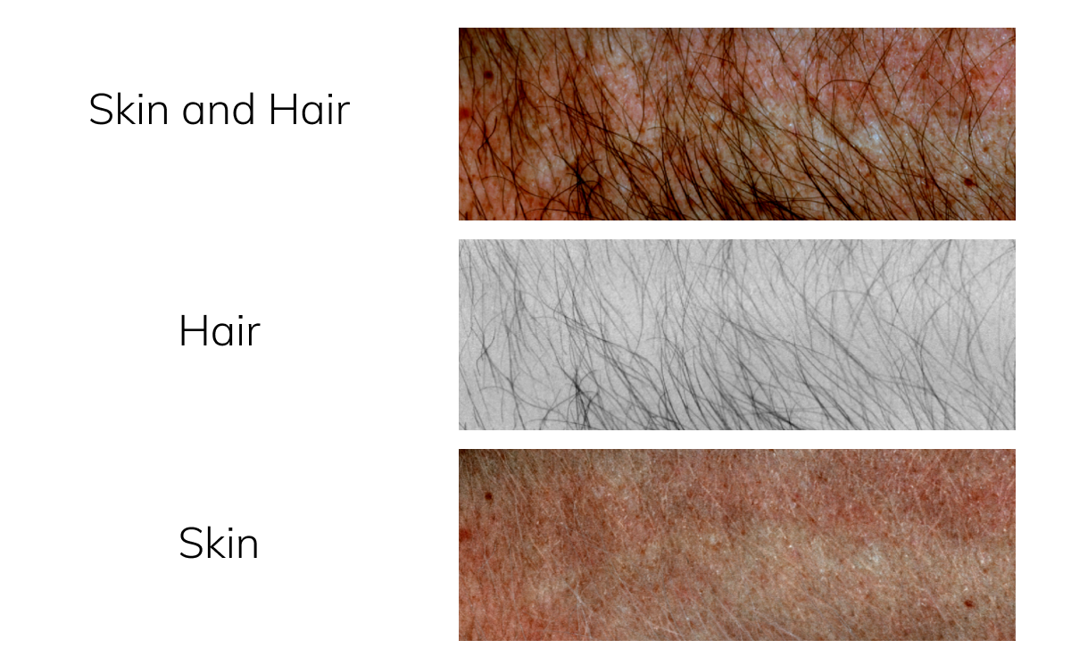 VideometerLab Agile skin and hair analysis dermatology