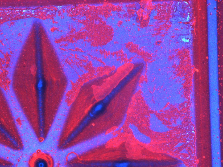 chocolate blooming analysis
