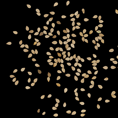 Seed analysis