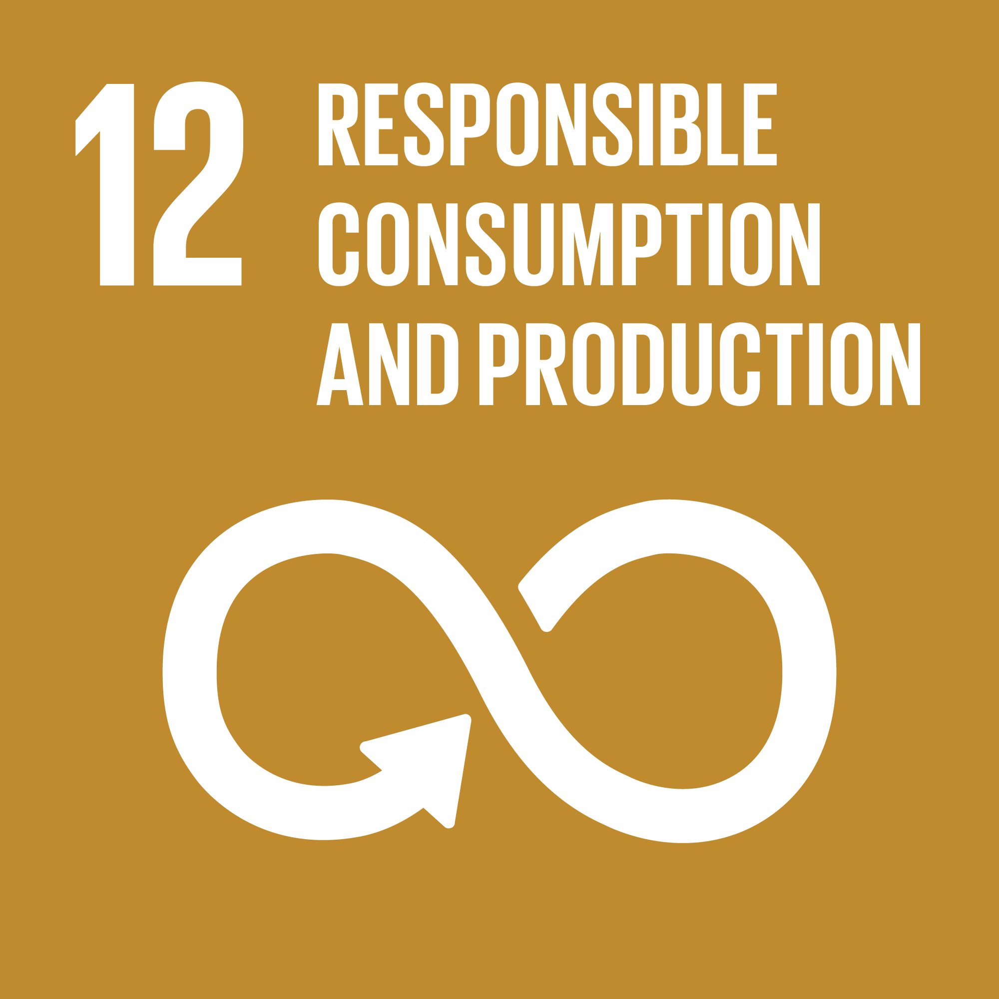SDG12 Responsible Consumption and Production