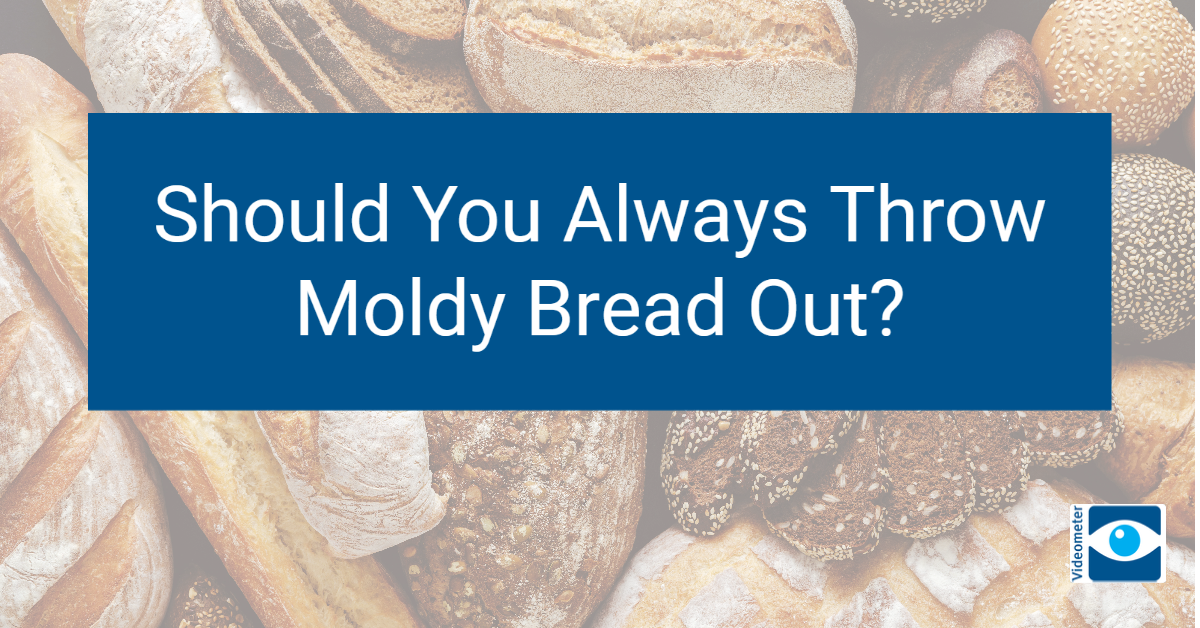 Should You Always Throw Moldy Bread Out? Videometer