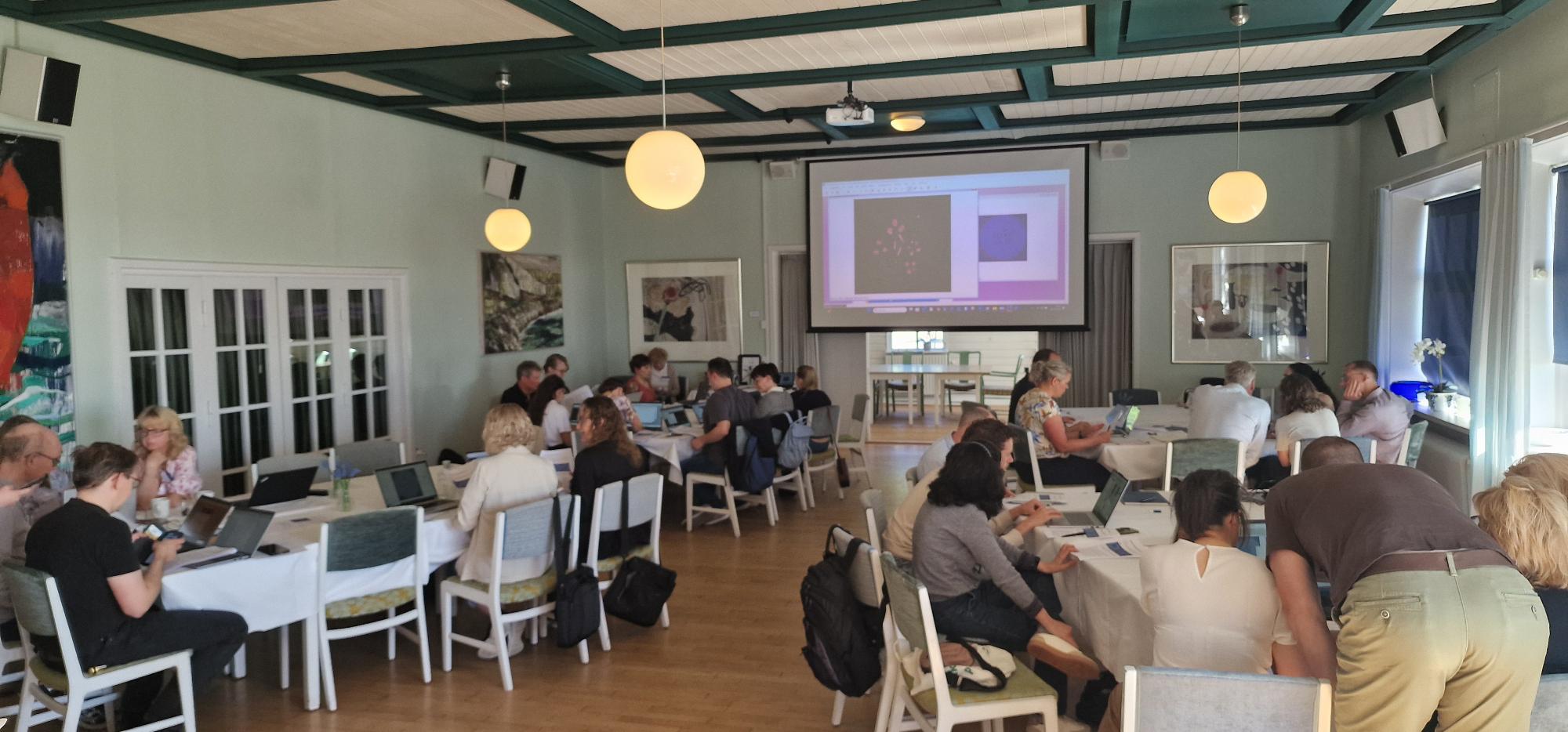 Multispectral imaging for seed quality assessment